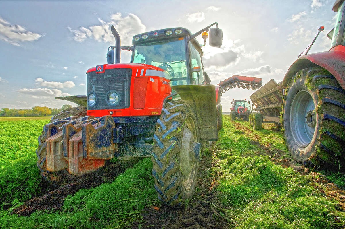 Verification Project 1